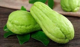 申艺灿吃瓜,揭秘娱乐圈背后的秘密与真相