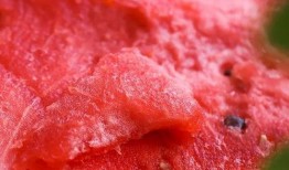 骗人的吃瓜,揭秘骗人吃瓜背后的真相与套路