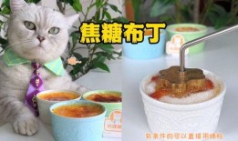 料理猫王吃瓜,美味与趣味并存