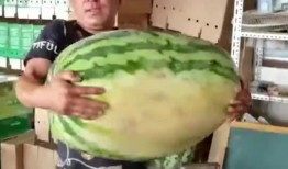 吃瓜同学聚会,吃瓜同学共度欢乐时光