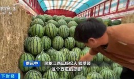 麻栗坡吃瓜,瓜果飘香，品味田园风光