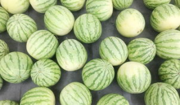 吃瓜群众静静,揭秘娱乐圈幕后故事