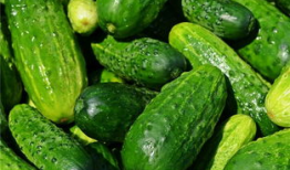 梦见吃瓜甜,揭秘“吃瓜甜”背后的甜蜜秘密