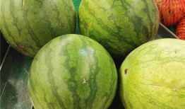 啥时候不能再吃瓜,揭秘何时是停止享用瓜果的最佳时机