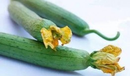方瓜花须怎么吃,方瓜花须的多样食用方法探索