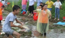 吃瓜捉鱼,揭秘网络热词背后的趣味与智慧