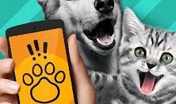 吃瓜软件动物名,揭秘吃瓜软件中的动物名趣闻