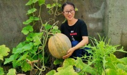 吃瓜729分钟,娱乐圈幕后真相大曝光