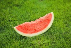 吃瓜舌头很刺痛,揭秘吃瓜引发的奇妙现象