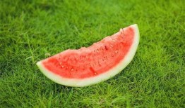 吃瓜舌头很刺痛,揭秘吃瓜引发的奇妙现象