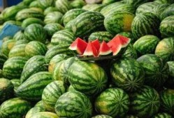 吃瓜止咳吗,揭秘瓜果在止咳方面的神奇功效