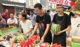 辽宁朝阳吃瓜群众,吃瓜群众的热议焦点