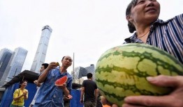 辽宁朝阳吃瓜群众,吃瓜群众的热议焦点