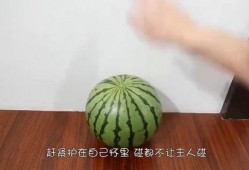 吃瓜有多快,揭秘吃瓜界的速度与激情