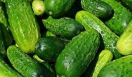 华附吃瓜,揭秘校园里的那些“瓜”