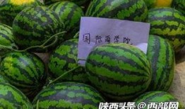 现在有什么吃瓜群,吃瓜群里的热点事件大盘点