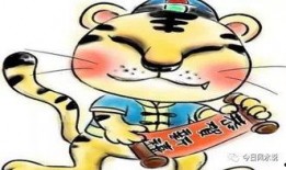 虎财吃瓜小说,揭秘娱乐圈背后的秘密与风云