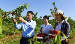 边吃瓜边逛景区,畅享夏日休闲之旅
