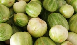 中山吃瓜二婶瓜事,一场别开生面的乡村瓜趣