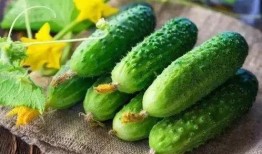 闪切吃瓜后续,揭秘娱乐圈背后的秘密与真相