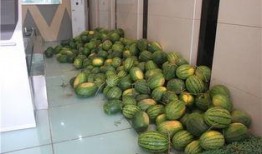 售楼中心吃瓜,揭秘房地产营销背后的秘密