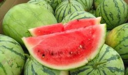 容东公园吃瓜,夏日休闲好去处