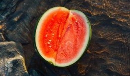 仙居吃瓜,探寻仙居特色吃瓜文化