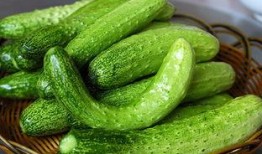 吃瓜文现言,误食禁果的甜蜜邂逅