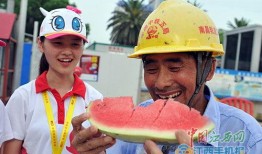 烈日吃瓜季,清凉一夏的甜蜜时光