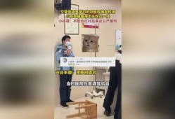 小孩哥输液吃瓜