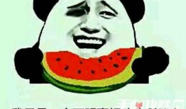 梗瓜怎么吃,解锁美味新境界