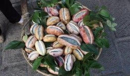 弟妹吃八月瓜,弟妹共享甜蜜时光