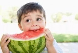 夏邑重点吃瓜ppt,吃瓜PPT里的瓜香四溢