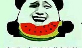 吃瓜群众请几位,吃瓜群众视角下的娱乐圈风云录