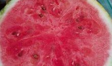 怎么进吃瓜圈,如何轻松加入这场全民狂欢