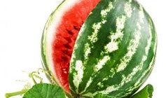 啥时候不能再吃瓜,揭秘何时是停止享用瓜果的最佳时机