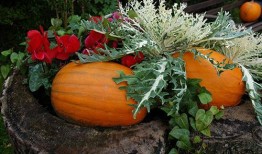 瓜发霉了还得吃吗,瓜发霉了还能吃吗？揭秘食品安全与应急处理