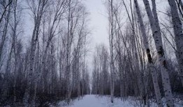 大雪夜吃瓜,大雪中品味瓜果的温馨时刻