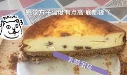 小伊吃瓜,揭秘娱乐圈那些不为人知的幕后故事