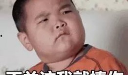 吃鸡瓜是不是,网络热词背后的文化现象