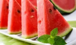 蓝蛙吃瓜,揭秘动物界的“美食家”