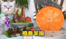 料理猫王吃瓜,美味与趣味并存