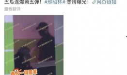 塌房吃瓜总结,吃瓜群众的热议与反思