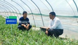 江苏沭阳吃瓜事件视频,一场引发热议的街头冲突瞬间