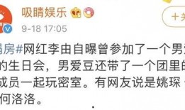 塌房吃瓜总结,吃瓜群众的热议与反思