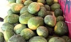 售楼中心吃瓜,揭秘房地产营销背后的秘密