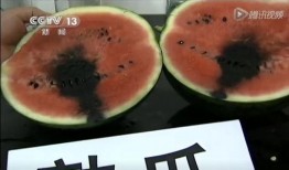 老瓜针怎么吃,老瓜针的多样食用方法揭秘